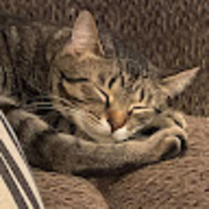 Meet your Posher, K.